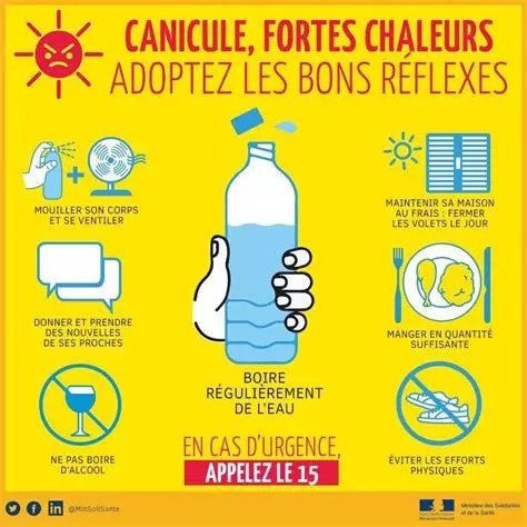canicule adoptez les bons gestes.jpeg