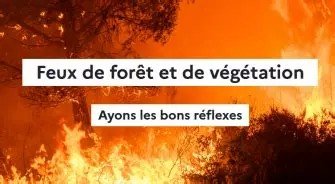 feux de forêts.jpeg