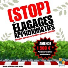 élagage.jpg