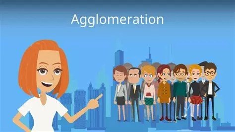 fonctionnement agglomération.jpeg