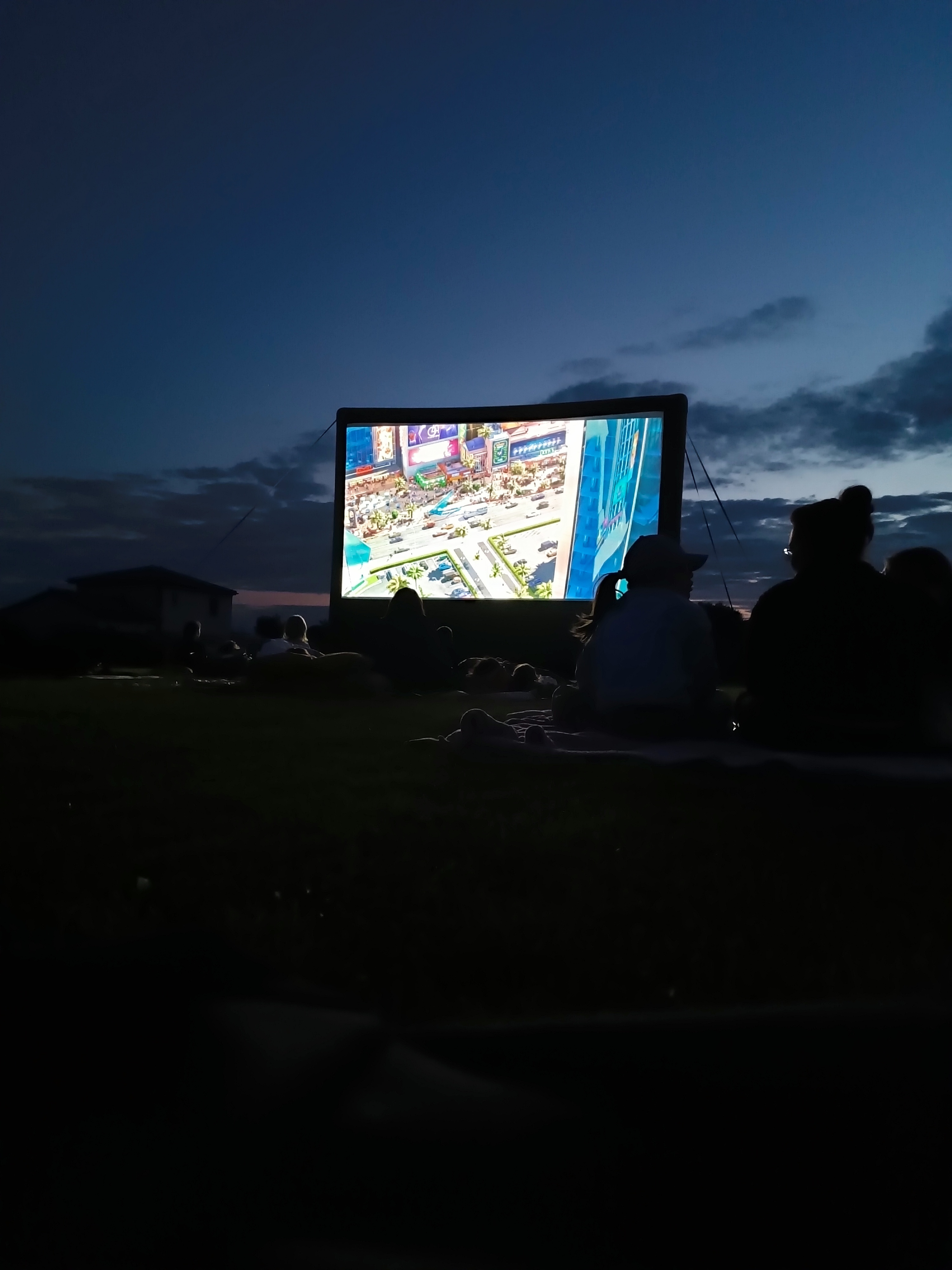 IMG_20250729_215929.jpg