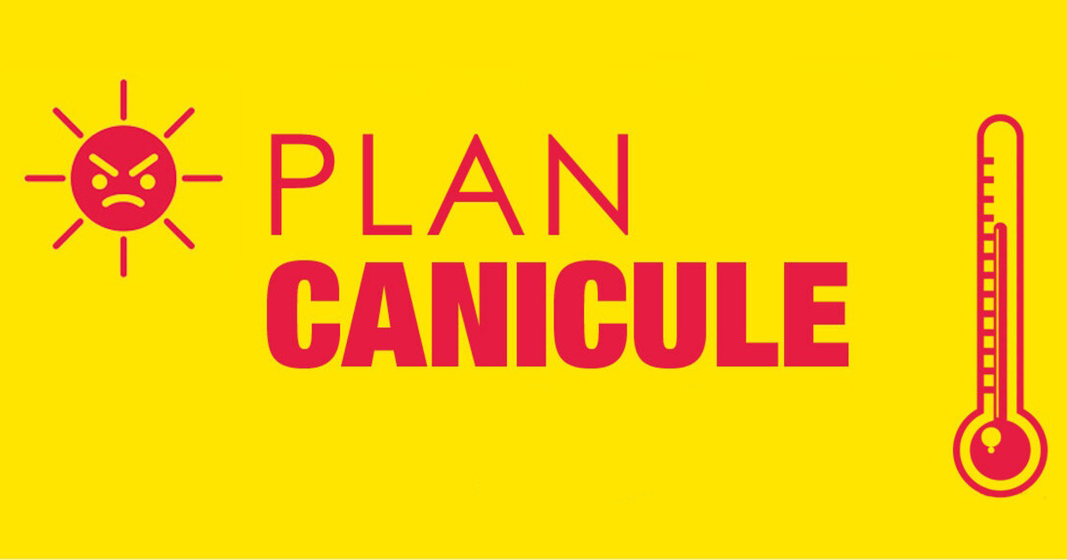 plancanicule01.jpg
