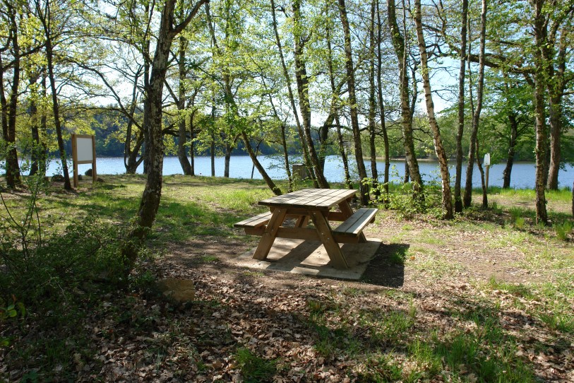 Table étang du Merle.jpg