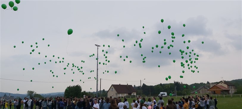20230522_144622.jpg