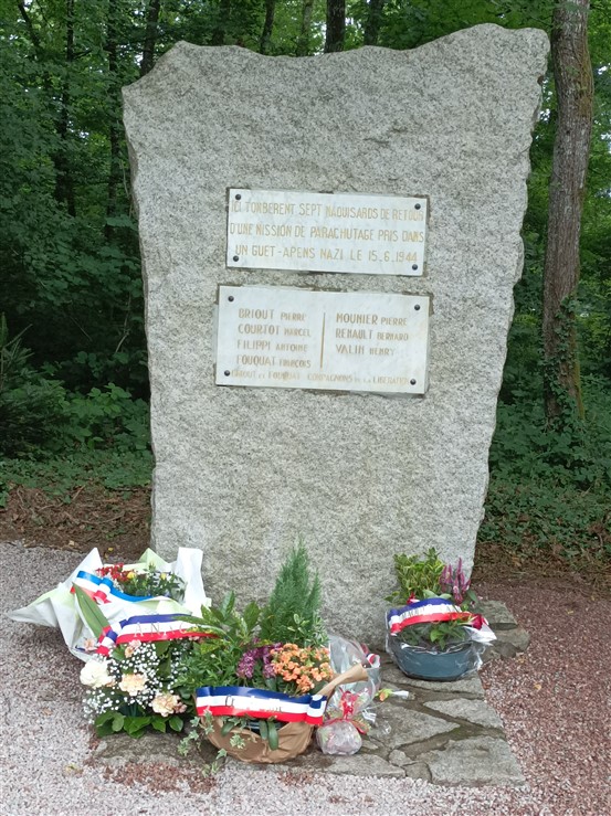 1750076343413.jpg