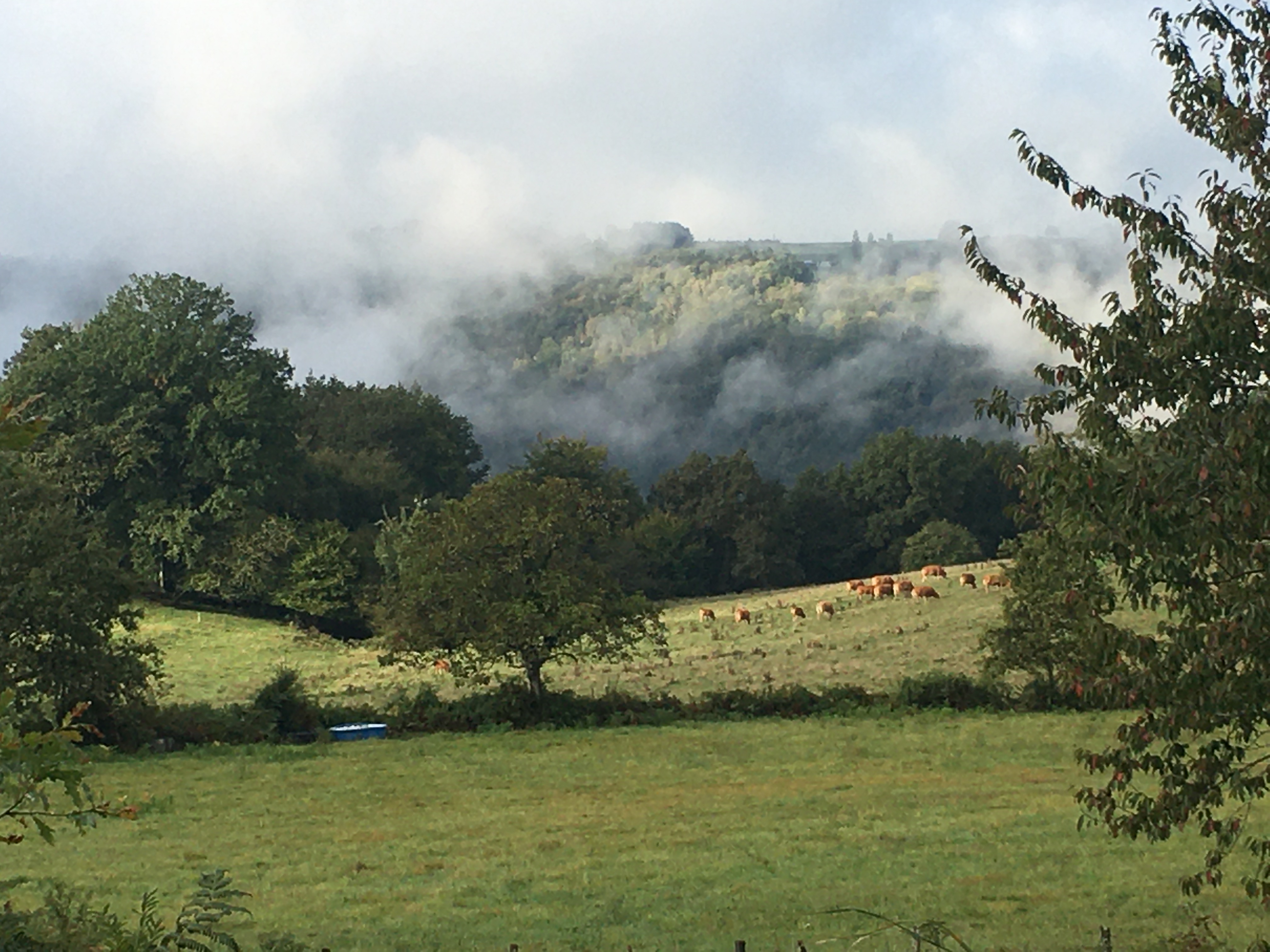 environnement _remplacer voie ferree_.JPG