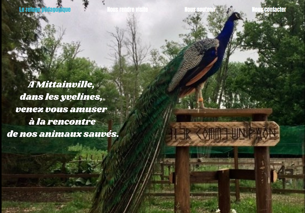 FERME OMINICapture d’écran 2023-09-18 142647.png