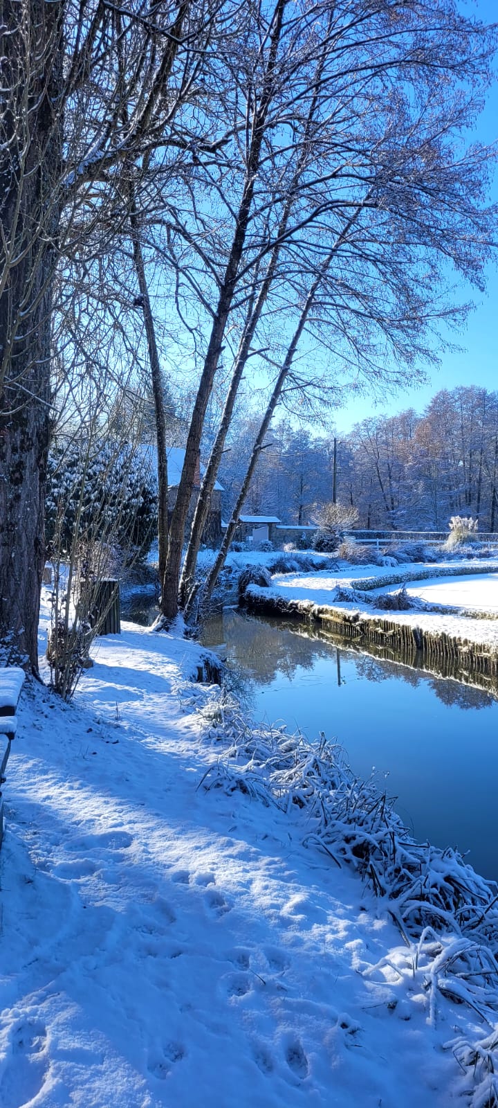 étang hiver.jpg