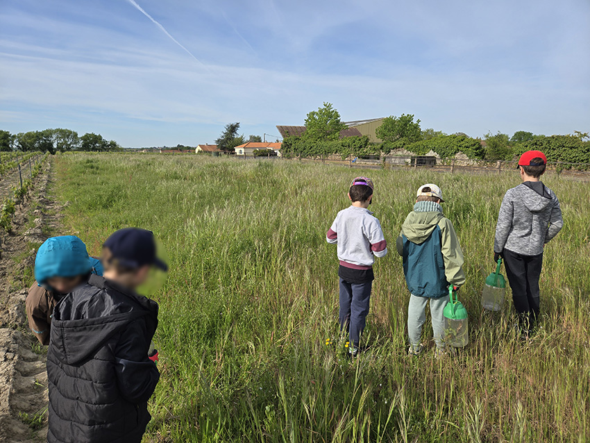 1Avril-balade autour des insectes 6 -11 ans copie.jpg