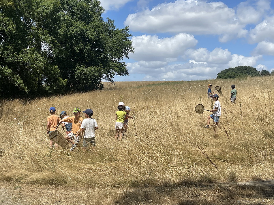 6-11-découverte des papillons avec Lucas -15 juillet copie.jpg
