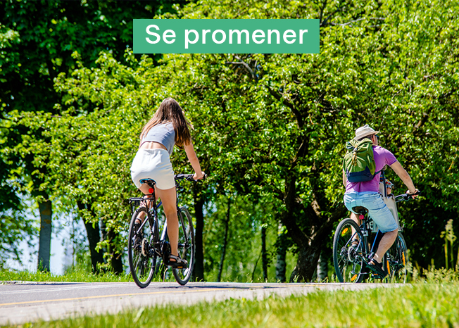 _Se promener.jpeg