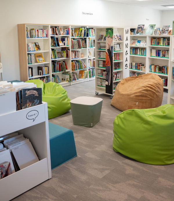 DEMCO - rayon manga_ copie.jpg