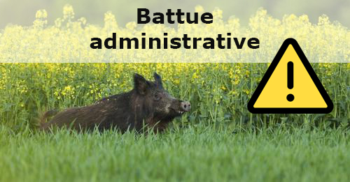 Battue administrative - .jpg