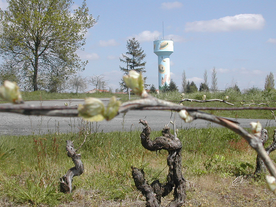 vigne - chateau d eau - site mairie.jpg