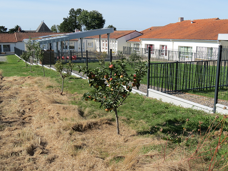 Préau cour ecole PP -site.jpg