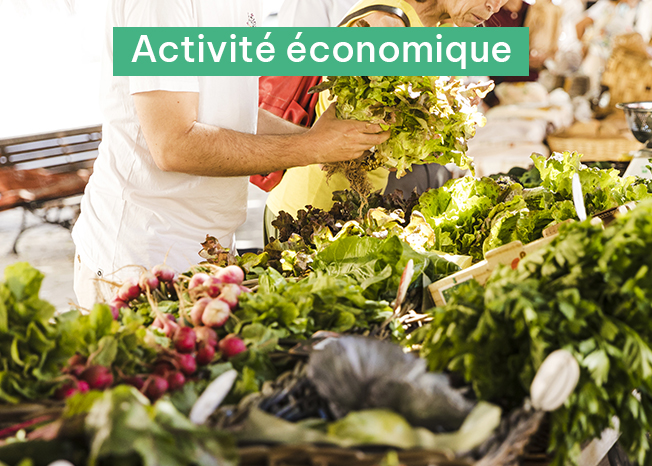 Activité economique.jpg