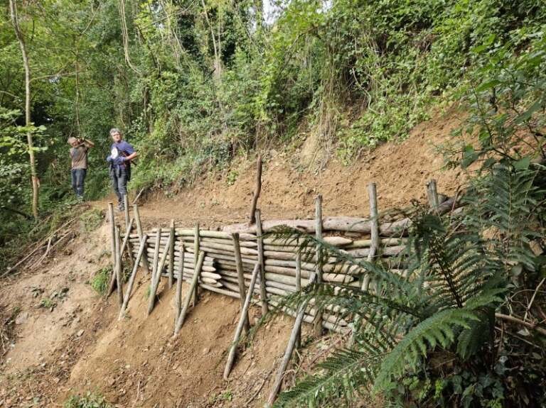 Sentier vers terrain vtt 2.jpg