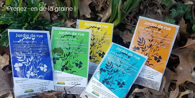 Jardin de rue - sachet grainesF.jpg