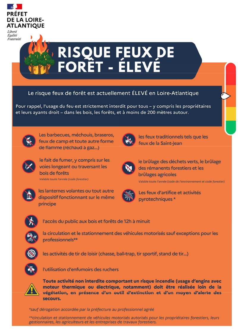 Affiche feux de forêt 44- Elevé.jpg
