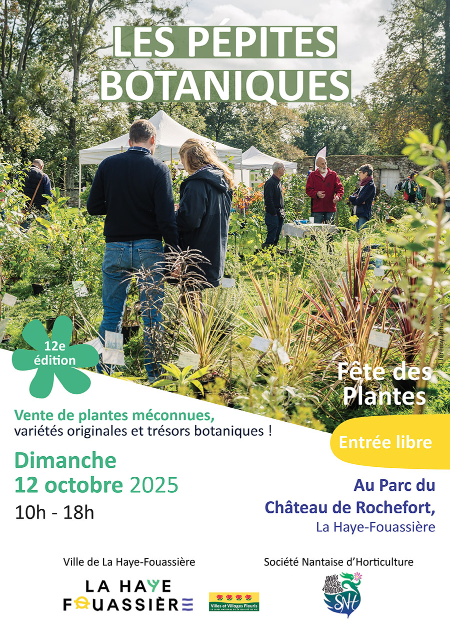 A3 WEB-_Pépites 2025 .jpg