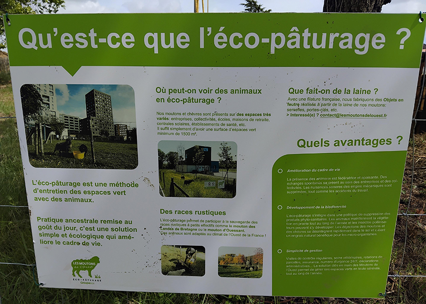ecopaturage 3.jpg