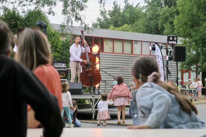 public et musique- Ville La Haye-Fouassiere.JPG