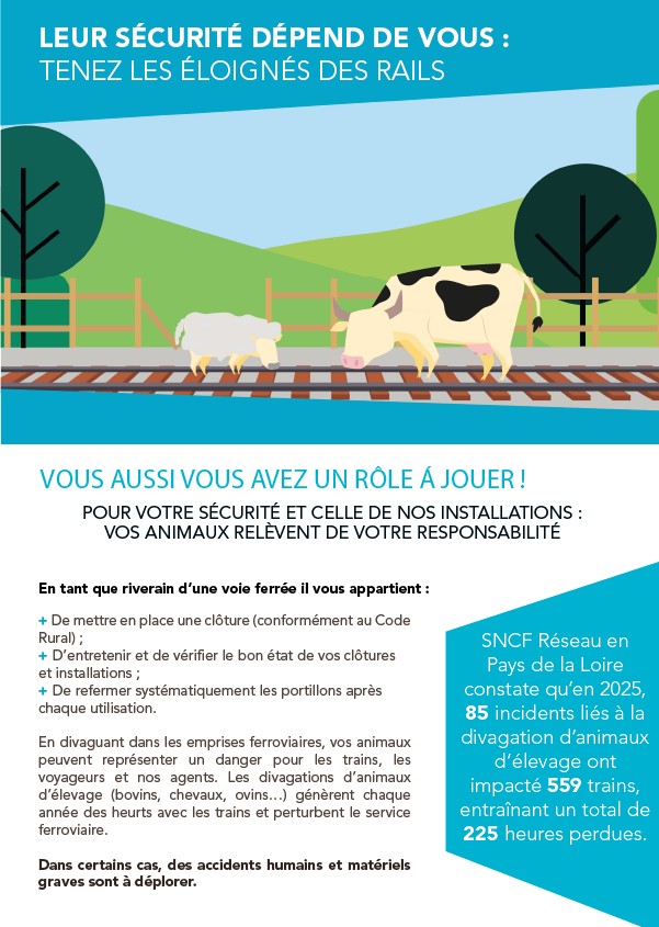 page - Doc divagation animaux.jpg
