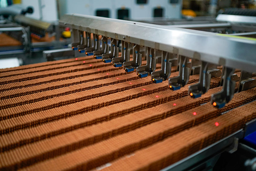w - fabrication biscuits Lu.jpg