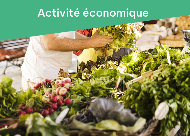 v - Activité économique.jpg