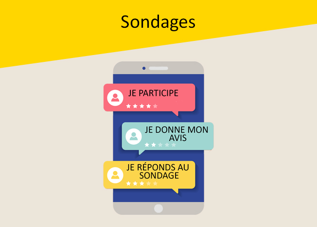 Maj v- Sondages copie.jpg