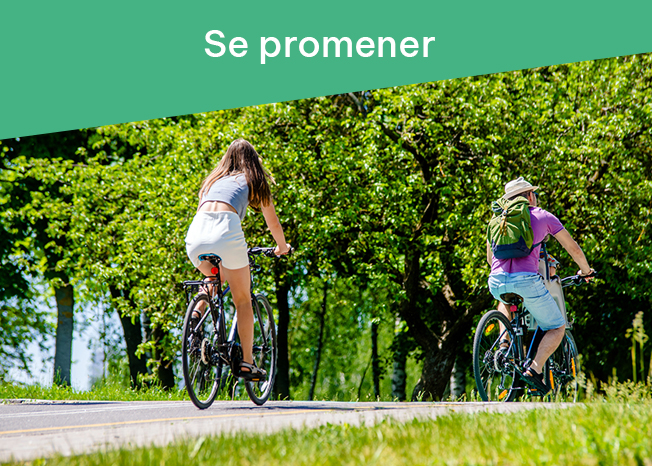 v - Se Promener.jpg