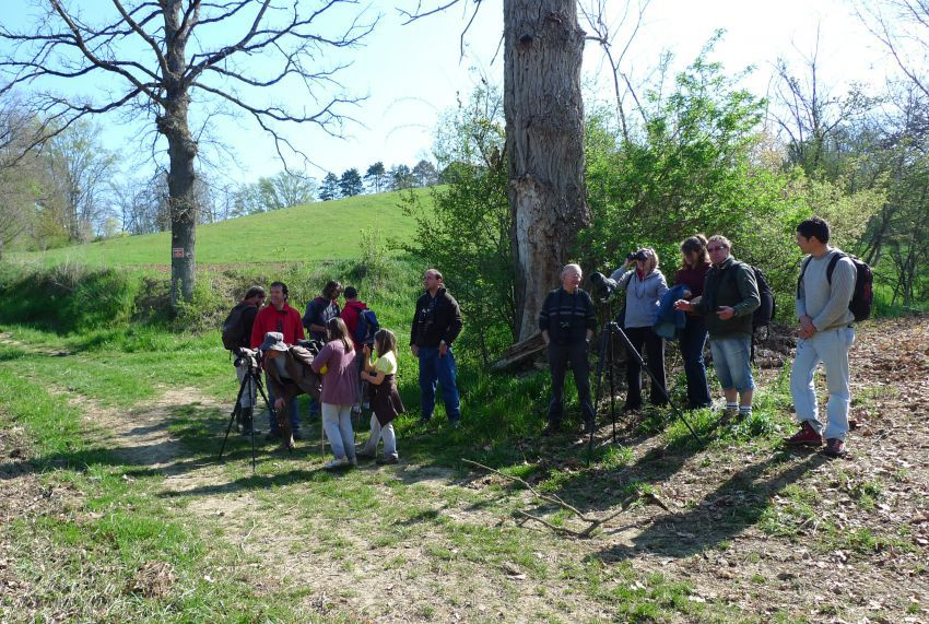 Au pays d en haut 7.png