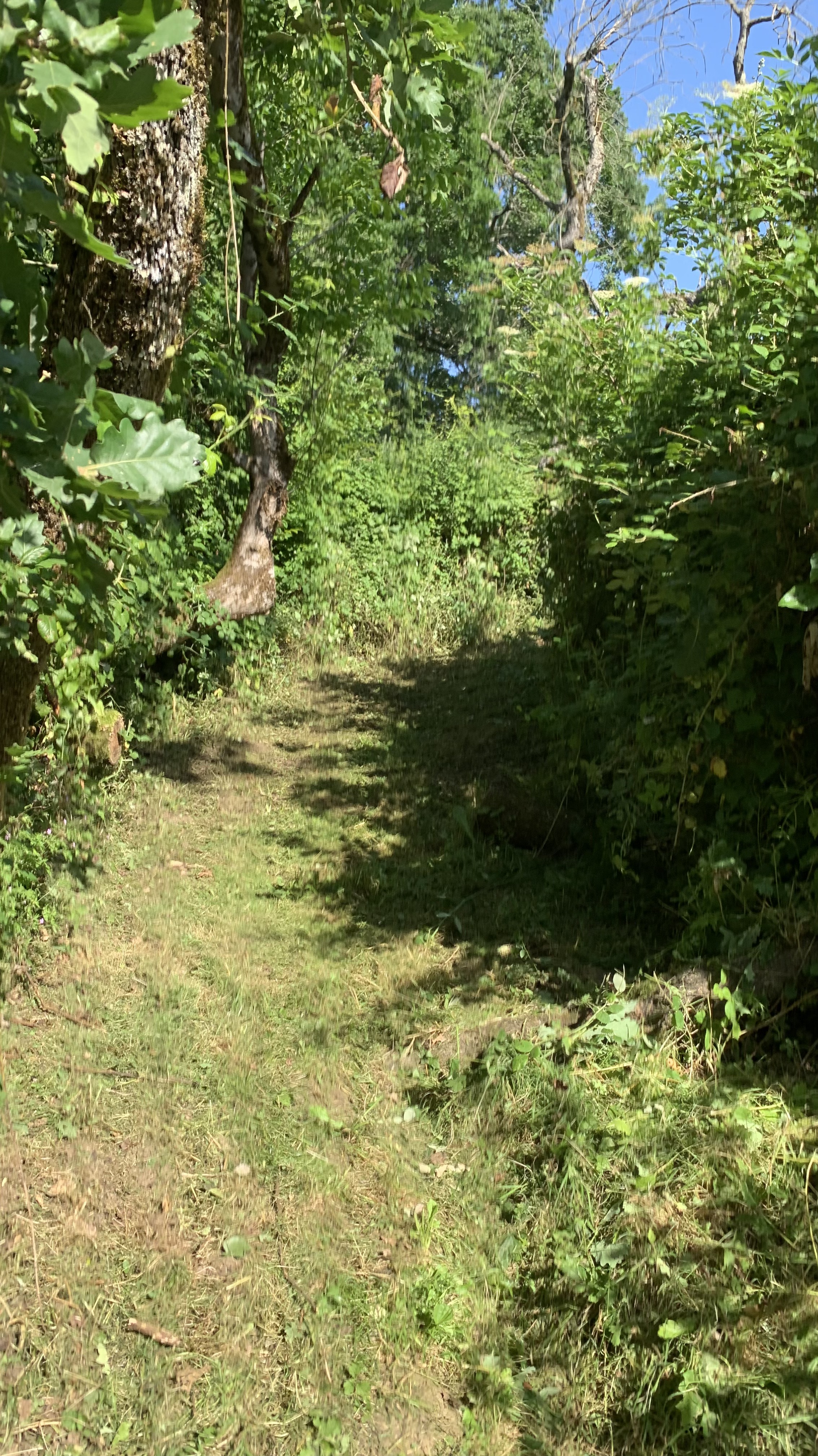 Sentier de Perbosc