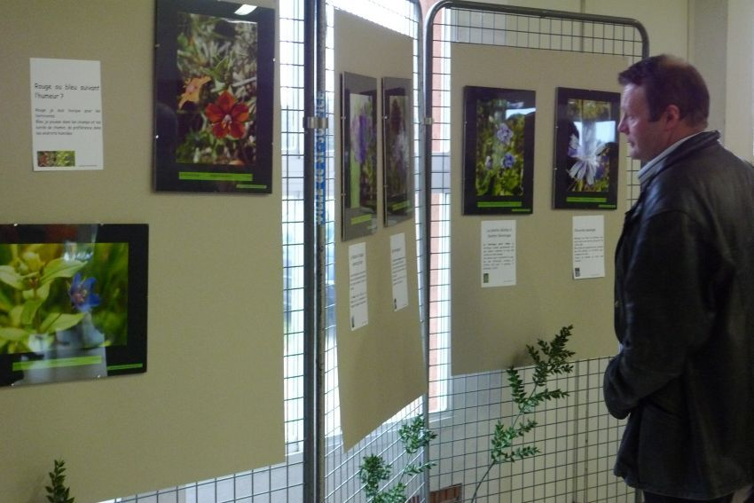 Au pays d en haut 10.png