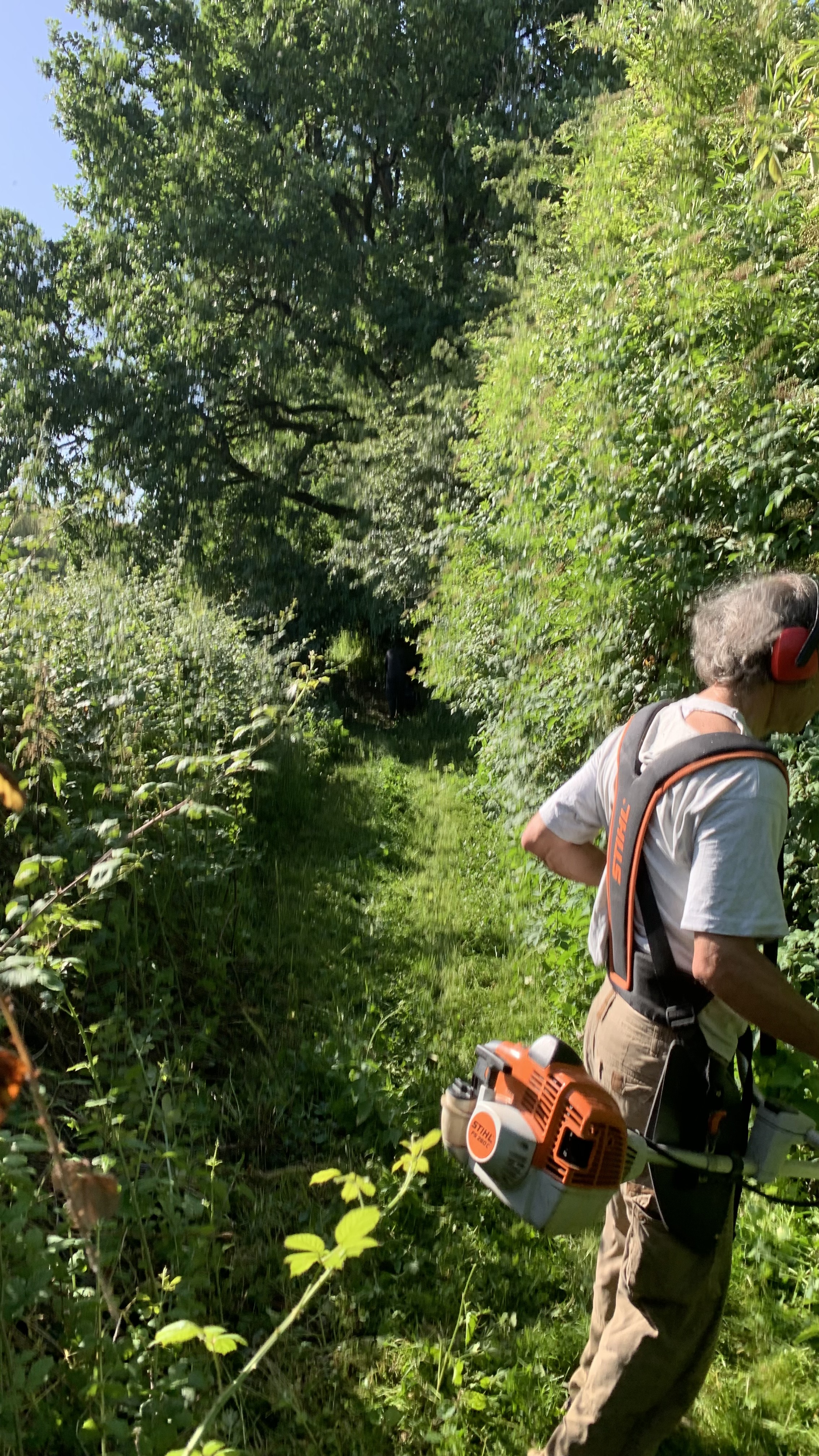 Sentier de Perbosc