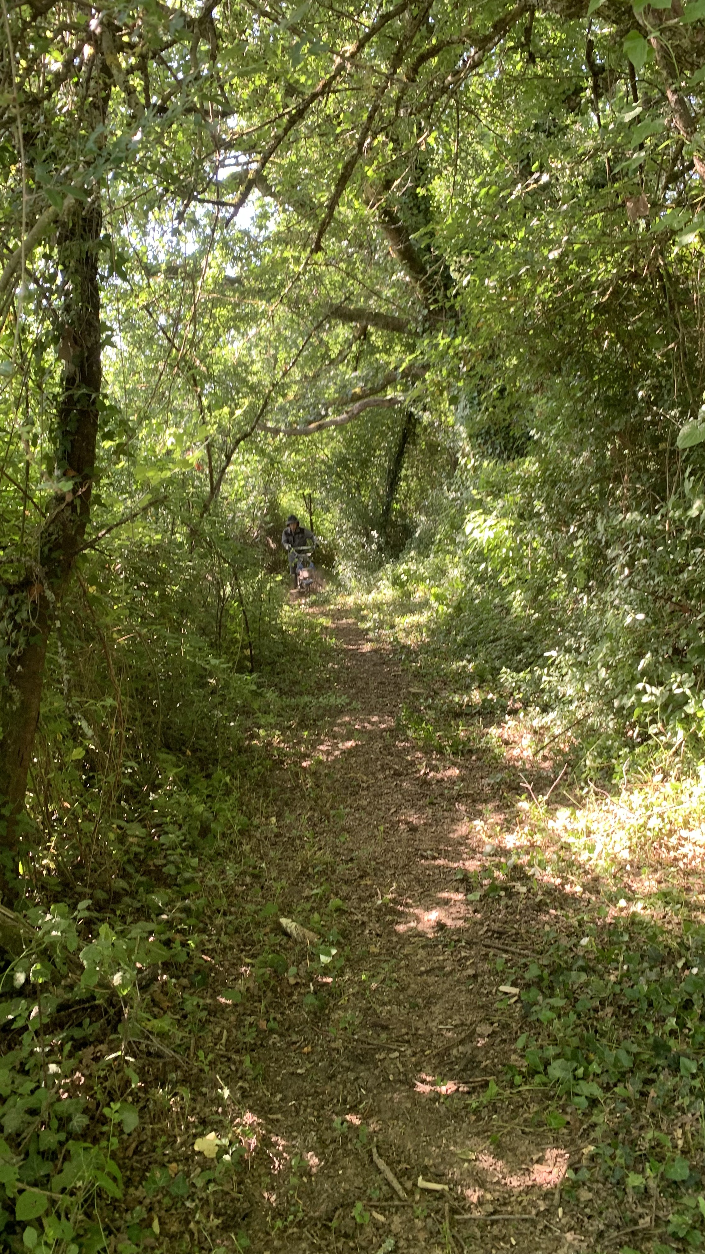 Sentier de Perbosc