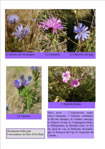 Au Pays d_en Haut 11.jpg