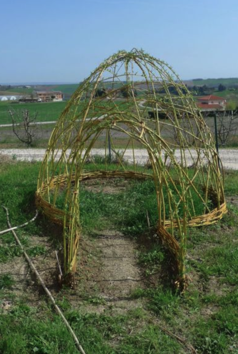 Cabane en osier réalisée par Michel.png