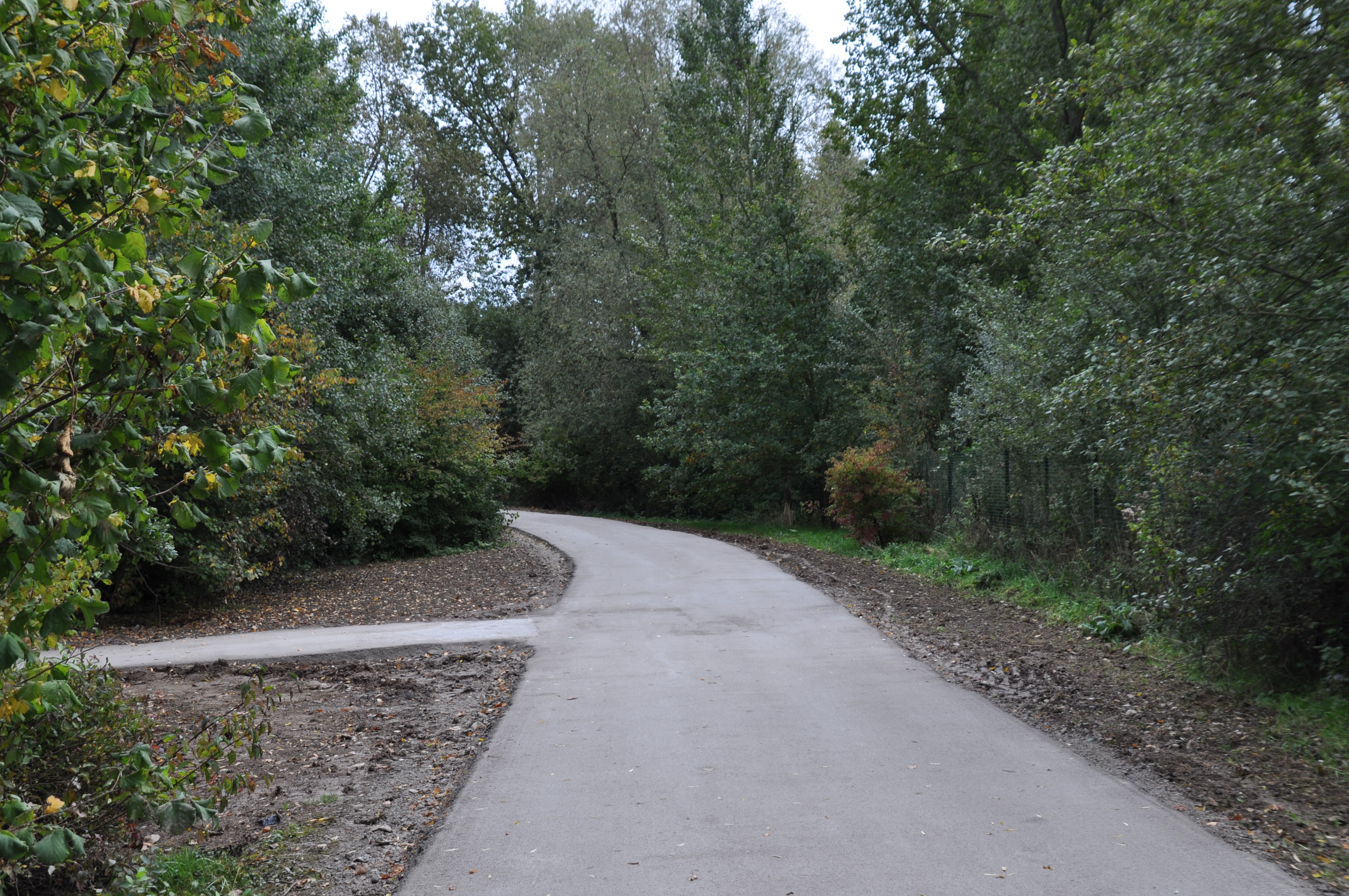 2 nouvelle sauvagine 2016.jpg