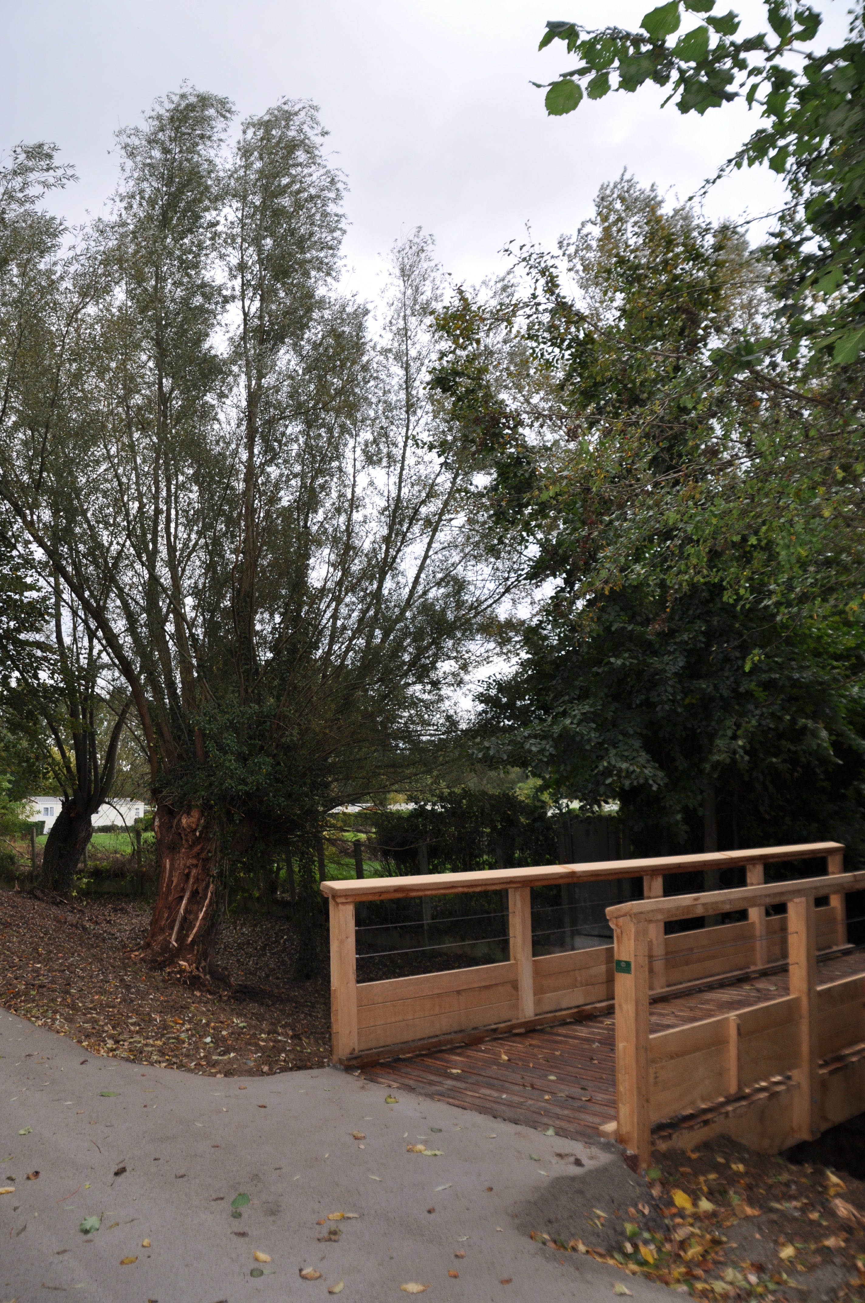 3 nouvelle sauvagine 2016.jpg