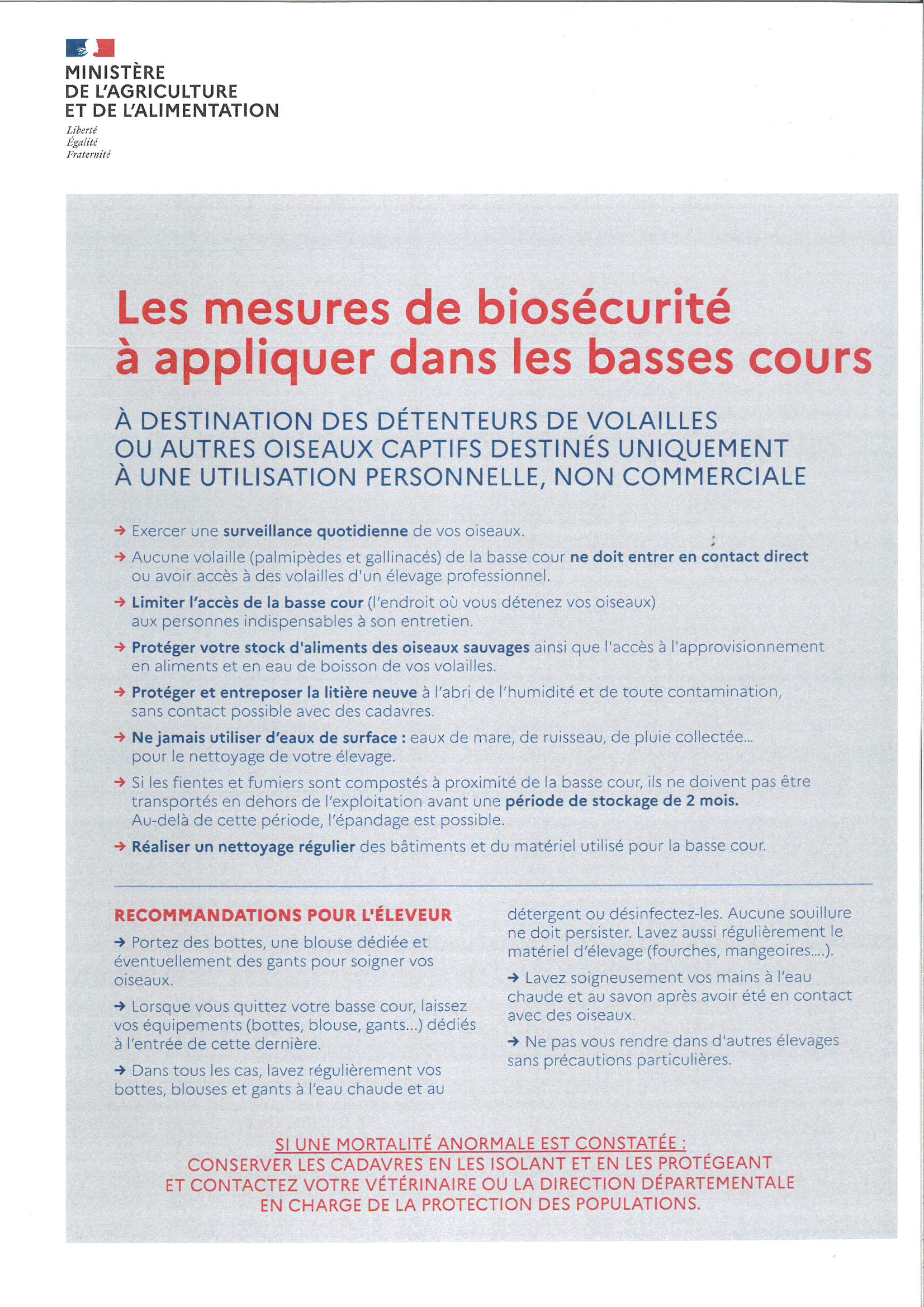 grippe aviaire 2.jpg
