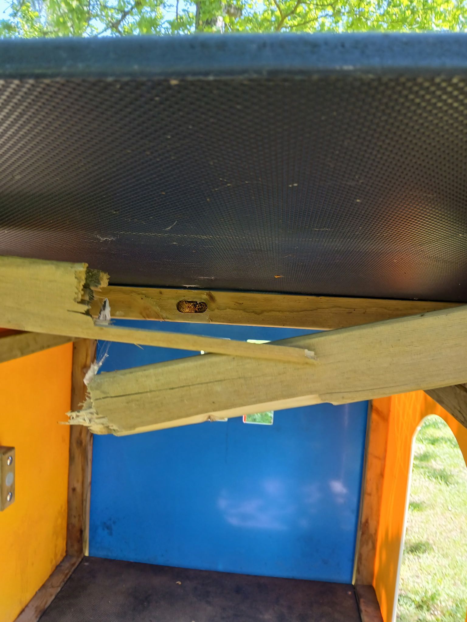 Cabane juin 26