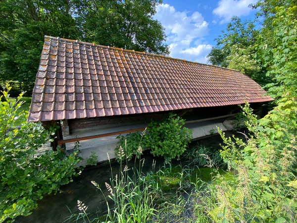 lavoir _5_.png