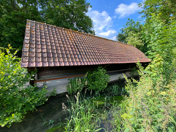 lavoir _4_.png