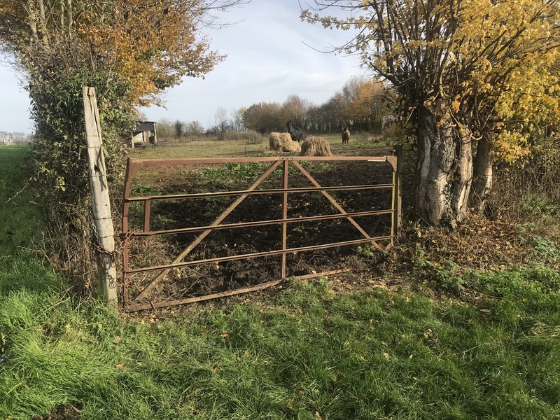 ruralité.jpg