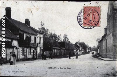 halloy hier _3_.jpg