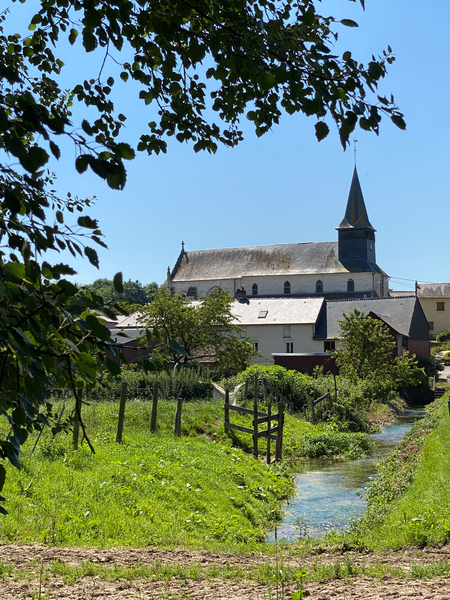 eglise selle branche.png