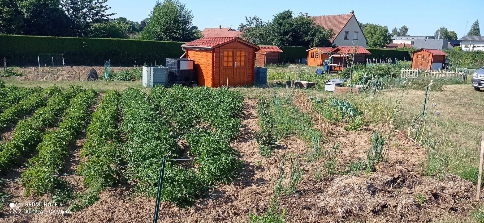 jardins communaux.jpg