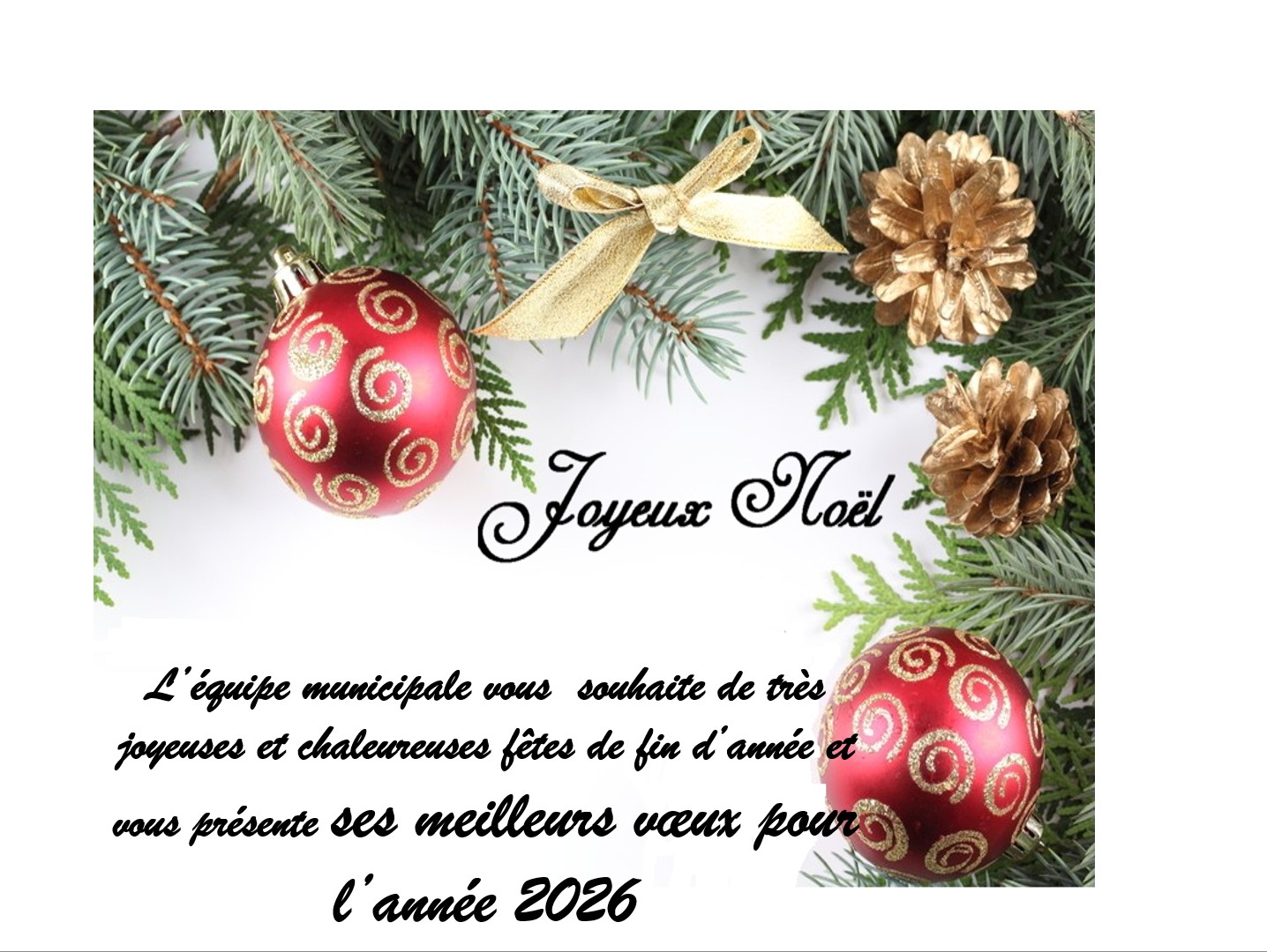 voeux 2025-12-17.jpg