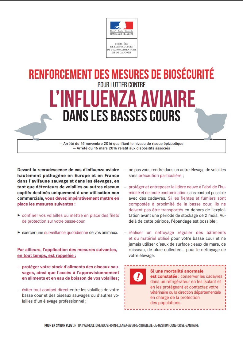 Influenzaaviaire2022.jpg